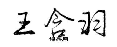 曾慶福王含羽行書個性簽名怎么寫