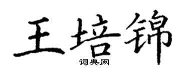 丁謙王培錦楷書個性簽名怎么寫