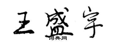 曾慶福王盛宇行書個性簽名怎么寫