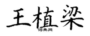 丁謙王植梁楷書個性簽名怎么寫