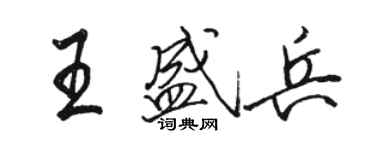 駱恆光王盛兵行書個性簽名怎么寫