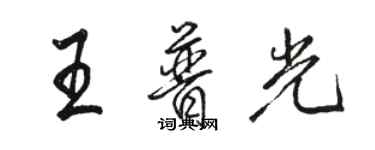 駱恆光王普光行書個性簽名怎么寫