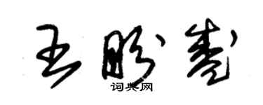 朱錫榮王盼盛草書個性簽名怎么寫