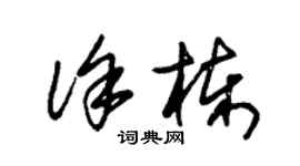 朱錫榮徐棟草書個性簽名怎么寫