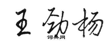 駱恆光王勁楊行書個性簽名怎么寫