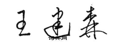 駱恆光王建森草書個性簽名怎么寫