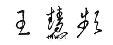 駱恆光王慧頻草書個性簽名怎么寫