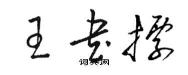 駱恆光王書標草書個性簽名怎么寫