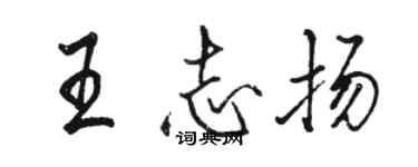 駱恆光王志揚行書個性簽名怎么寫