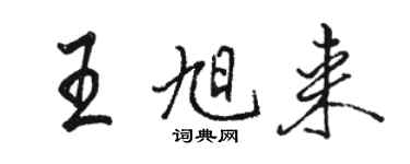 駱恆光王旭來行書個性簽名怎么寫