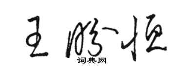 駱恆光王盼恆草書個性簽名怎么寫