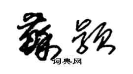 朱錫榮蘇穎草書個性簽名怎么寫