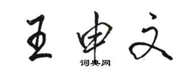 駱恆光王申文行書個性簽名怎么寫