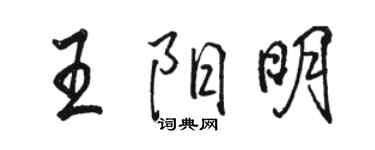 駱恆光王陽明行書個性簽名怎么寫