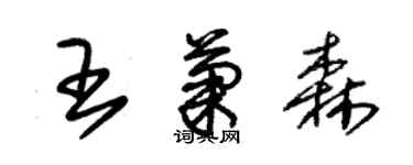 朱錫榮王菊森草書個性簽名怎么寫