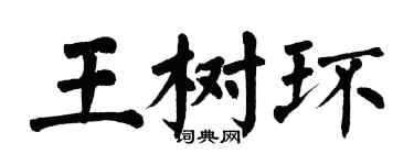 翁闓運王樹環楷書個性簽名怎么寫