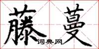 丁謙藤蔓楷書怎么寫