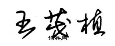 朱錫榮王茂植草書個性簽名怎么寫