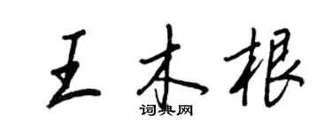 王正良王木根行書個性簽名怎么寫
