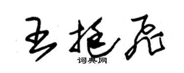 朱錫榮王挺飛草書個性簽名怎么寫