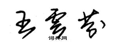 朱錫榮王雲芬草書個性簽名怎么寫