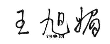 駱恆光王旭媚草書個性簽名怎么寫
