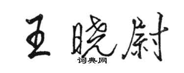 駱恆光王曉尉行書個性簽名怎么寫