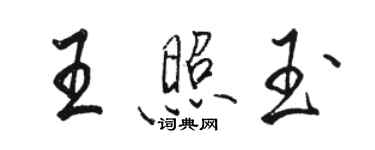 駱恆光王照玉行書個性簽名怎么寫