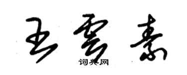 朱錫榮王雲素草書個性簽名怎么寫