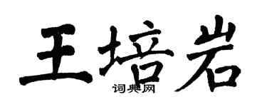 翁闓運王培岩楷書個性簽名怎么寫