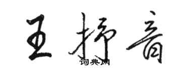 駱恆光王抒音行書個性簽名怎么寫