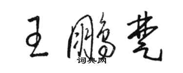 駱恆光王鵬楚草書個性簽名怎么寫