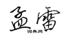 駱恆光孟雷行書個性簽名怎么寫