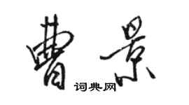 駱恆光曹景行書個性簽名怎么寫