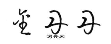 駱恆光金丹丹草書個性簽名怎么寫