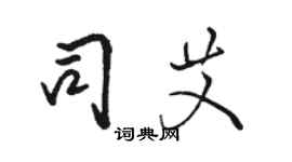 駱恆光司艾行書個性簽名怎么寫