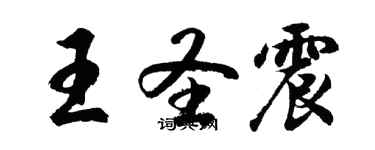 胡問遂王聖震行書個性簽名怎么寫