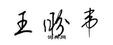 梁錦英王盼韋草書個性簽名怎么寫
