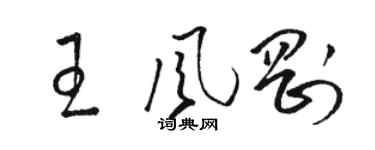 駱恆光王風剛草書個性簽名怎么寫