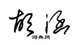 朱錫榮胡涵草書個性簽名怎么寫