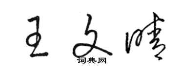 駱恆光王文晴草書個性簽名怎么寫