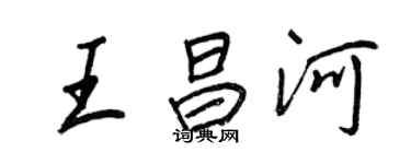 王正良王昌河行書個性簽名怎么寫