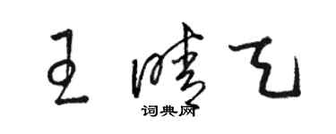 駱恆光王晴天草書個性簽名怎么寫