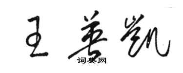 駱恆光王英凱草書個性簽名怎么寫