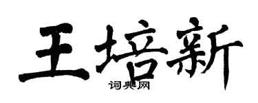 翁闓運王培新楷書個性簽名怎么寫