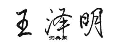 駱恆光王澤明行書個性簽名怎么寫