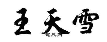 胡問遂王天雪行書個性簽名怎么寫