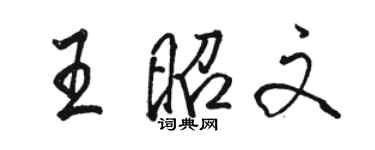 駱恆光王昭文行書個性簽名怎么寫