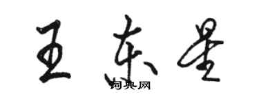 駱恆光王東星行書個性簽名怎么寫