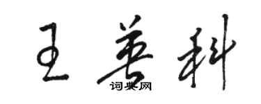 駱恆光王英科草書個性簽名怎么寫